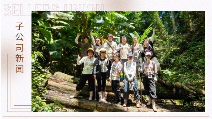 探雨林秘境，與森林同呼吸——記優(yōu)景公司年中西雙版納團建旅游